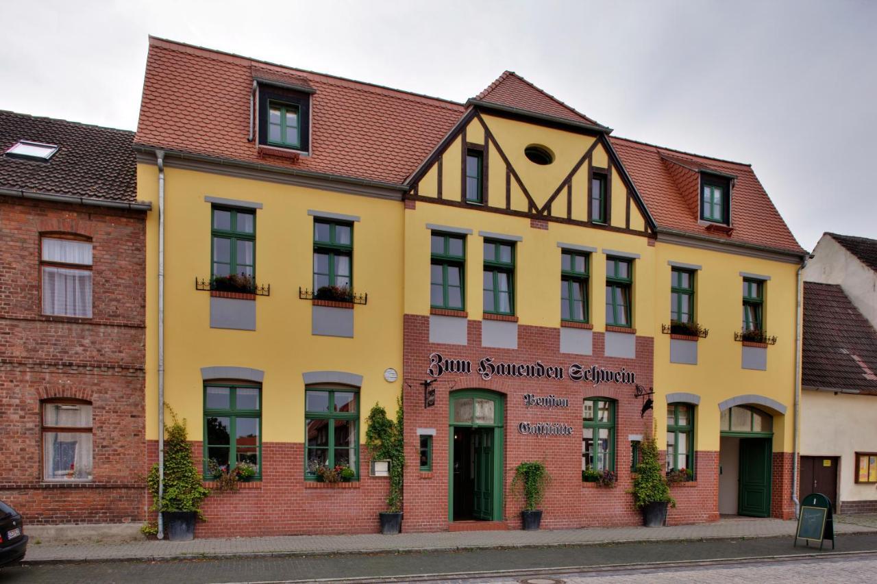 Gasthaus Und Pension "Zum Hauenden Schwein" Wörlitz المظهر الخارجي الصورة